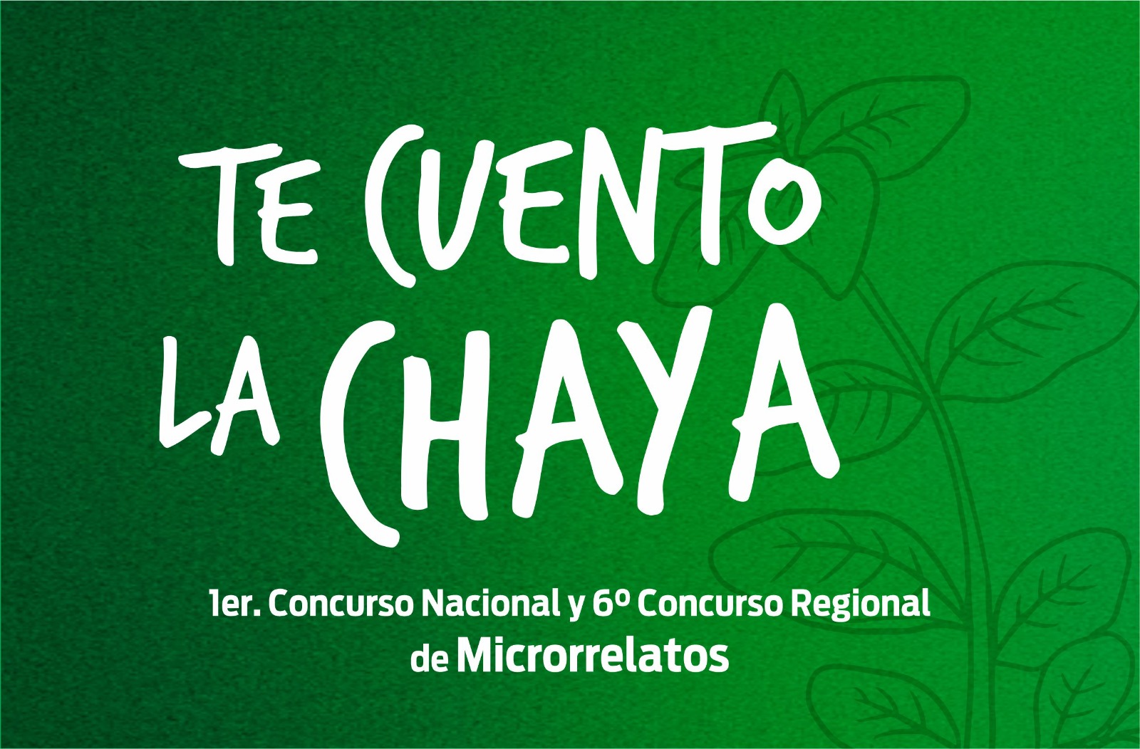 WhatsApp Image 2025-12-10 at 11.40.15